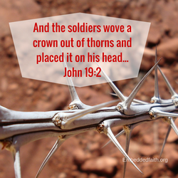 Holy Week/Good Friday - and the soldiers wove a crown out of thorns... John 19:2