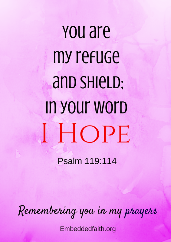 You are my refuge and shield - Psalm 119:114 - Remembering you in my prayers - embeddedfaith.org