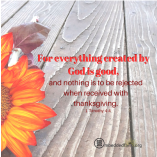 For everything created by God is good and nothing is to be rejected when received with thanksgiving. - 1 Timothy 4:4