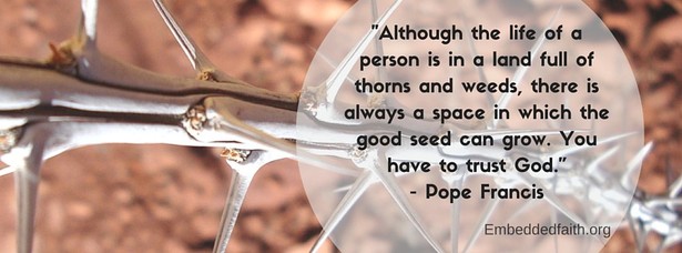 Pope Francis facebook cover - life is in a land full or thorn an d weeds, there is always a space in which the good seed can grow. you have to trust God. embeddedfaith.org