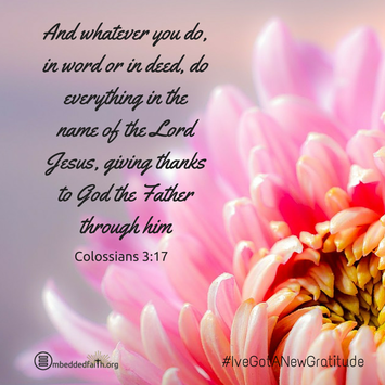 And whatever you do, in word or in deed, do everything in the name of hte Lord Jesus, giving thanks to God the Father through him. Colossians 3:17 - - #IveGotANewGratitude - 13 quotes on gratefulness at embeddedfaith.org