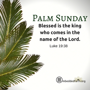 Palm Sunday - Blessed is the king who comes in the name of the Lord. Luke 19:38