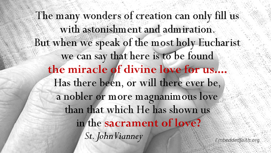 The many wonders of creation can only lfill us with astonishment and admiration...st john vianney - saintly sayings