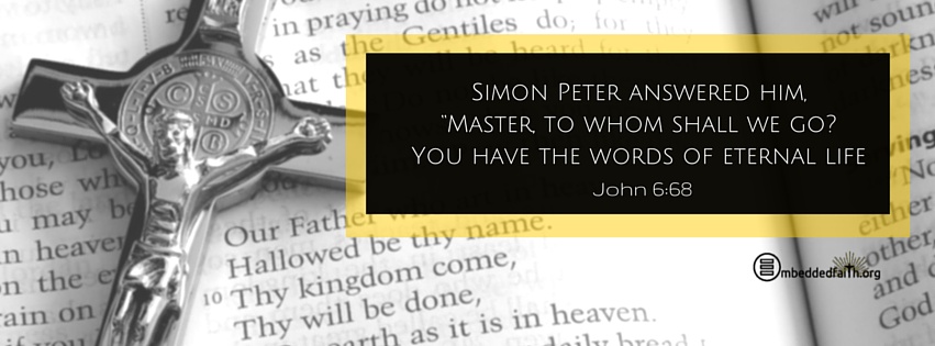 Master to who shall we go? You have the words of eternal life. John 6:68 facebook cover on embeddedfaith.org