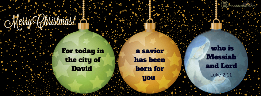 For today in the city of David a savior has been born for you who is Messiah and Lord.  Luke 2:11.  Christmas facebook cover on embeddedfaith.org