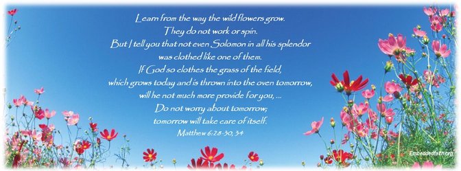 If God so clothes the grass of the field...will he not much more provide for you. Matthew 6:28-30 embeddedfaith.org