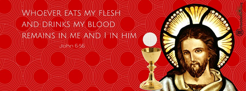 Whoever eats my flesh and drinks my blood remains in me and I in him. John 6:56 facebook cover on embeddedfaith.org