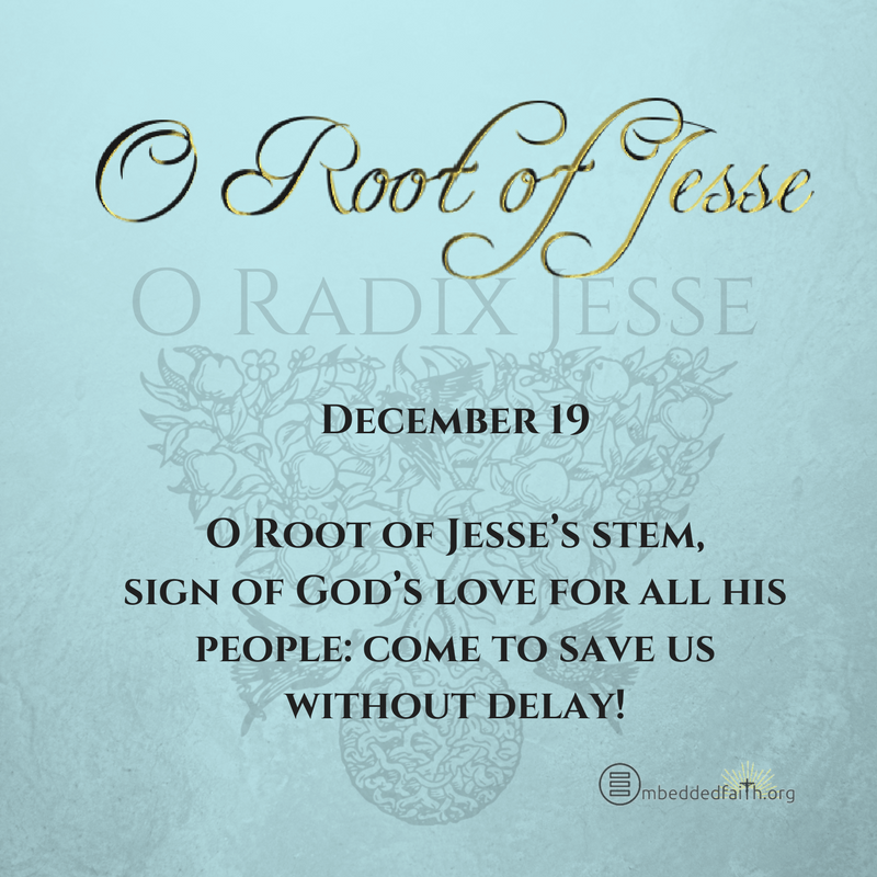 O Antiphon - O Root of Jesse