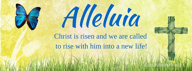 Easter Facebook Cover - Alleluia Christ is Risen. embeddedfaith.org