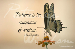 Patience is the companion of wisdom St. Augustine - saintly sayings