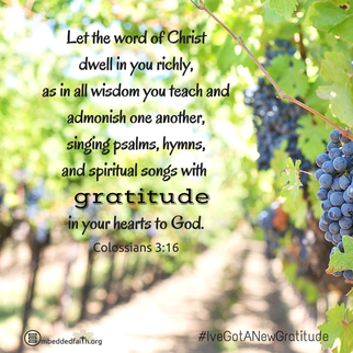 Let the word of Christ dwell in you richly, as in all wisdom you teach and admonish one antoher, singing psalms, hymns, and spiritual songs with gratitude in your hearts to God. Colossians 3:16 - #IveGotANewGratitude - 13 quotes on gratefulness at embeddedfaith.org
