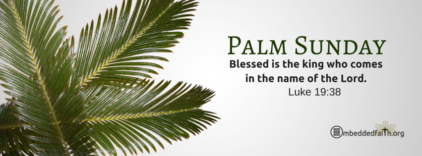 Palm Sunday Facebook Cover - Blessed is the king who comes in the name of the Lord. - Luke 19:38