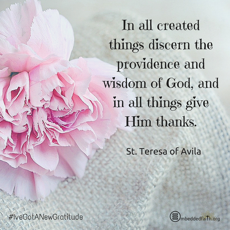 In all created things discern the providence and wisdom of God, and in all things give Him thanks. - St. Teresa of Avila - #IveGotANewGratitude on embeddedfaith.org
