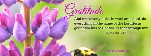 Gratitude Facebook Cover Series - Whatever you do.Give thanks to God. embeddedfaith.org