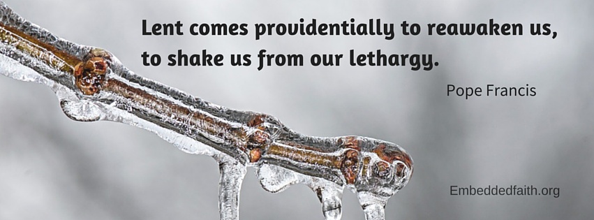 Pope Francis facebook cover- lent comes proidentially to reawaken us, to shake us from our lethary.  embeddedfaith.org