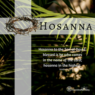 Hosanna to the Son of David; blessed is the he who comes in the name of the Lord; hosanna in the highest. Matthew 21:9. Palm Sunday 
